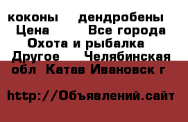 коконы    дендробены › Цена ­ 25 - Все города Охота и рыбалка » Другое   . Челябинская обл.,Катав-Ивановск г.